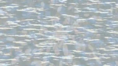 Yaratıcı video düzenleme film arkaplan tasarımı için minimalist organik hareket grafikleri