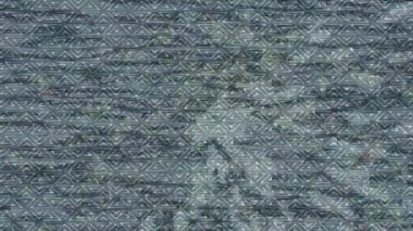 Profesyonel video projeleri sanat tarzı için organik hareketli arkaplan tasarımı