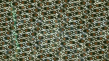 Organik desenli yüzey giriş stili video film sanatı ile soyut arkaplan tasarımı