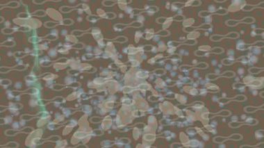 Benzersiz dijital hareket grafiklerine sahip yaratıcı sinematik projeler için yumuşak animasyon yüzeyi