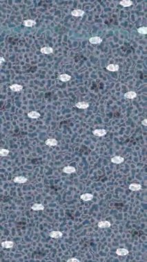 Yaratıcı video düzenleme film arkaplan tasarımı için minimalist organik hareket grafikleri