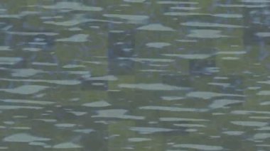 Estetik doku arkaplan tasarımı renkli hareket grafikleri ile moda film giriş profosyoneli