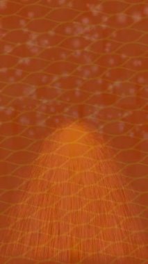 Dijital doku yüzey tasarım biçimi ile modern video animasyonu için gelişmiş hareket grafikleri