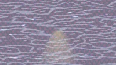 Lüks hareket projeleri için soyut tasarım stili animasyonu olan üst düzey dijital doku