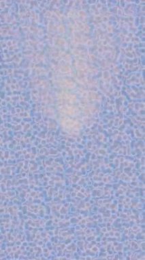 Estetik doku arkaplan tasarımı renkli hareket grafikleri ile moda film giriş profosyoneli