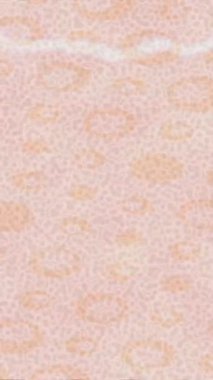 Yaratıcı video düzenleme film arkaplan tasarımı için minimalist organik hareket grafikleri