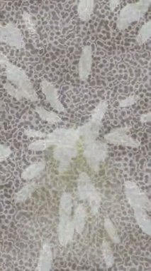 Benzersiz hareket dokusu tasarım sanatı ile profesyonel video düzenleme için modern soyut grafikler