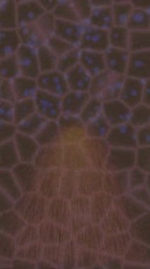 Benzersiz dijital hareket grafiklerine sahip yaratıcı sinematik projeler için yumuşak animasyon yüzeyi