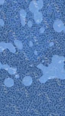 Estetik doku arkaplan tasarımı renkli hareket grafikleri ile moda film giriş profosyoneli