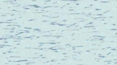 Lüks hareket tasarımı üst düzey video projeleri ve dijital sanat için zarif, pürüzsüz bir dokusu var.