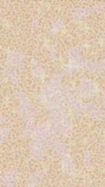 Benzersiz dijital animasyon tarzı grafikleri olan yaratıcı ortam tasarımı için yenilikçi hareket dokusu