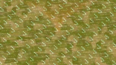 Dijital doku yüzey tasarım biçimi ile modern video animasyonu için gelişmiş hareket grafikleri