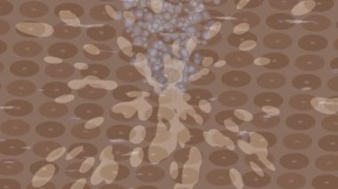 Yaratıcı video düzenleme film arkaplan tasarımı için minimalist organik hareket grafikleri