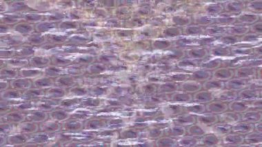 Estetik doku arkaplan tasarımı renkli hareket grafikleri ile moda film giriş profosyoneli