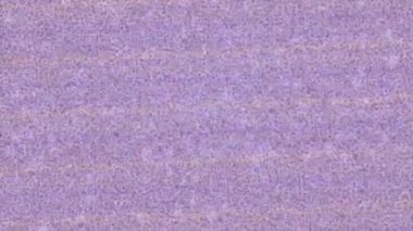 Benzersiz dijital animasyon tarzı grafikleri olan yaratıcı ortam tasarımı için yenilikçi hareket dokusu