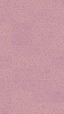 Lüks hareket tasarımı üst düzey video projeleri ve dijital sanat için zarif, pürüzsüz bir dokusu var.