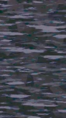 Benzersiz hareket dokusu tasarım sanatı ile profesyonel video düzenleme için modern soyut grafikler