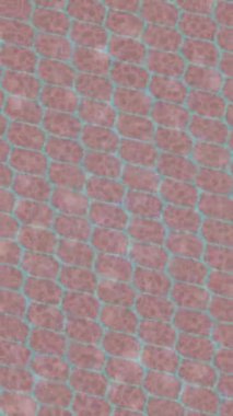 Benzersiz hareket dokusu tasarım sanatı ile profesyonel video düzenleme için modern soyut grafikler