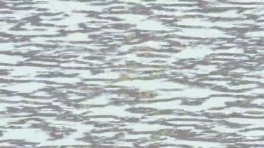 Modern medya üretimi için fütüristik dijital soyut doku sinematik tarz hareketli grafik ögesi