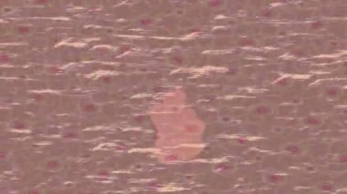 Benzersiz video giriş tasarımı projeleri için detaylı yüzey kalıbı film animasyon stili grafik girişi