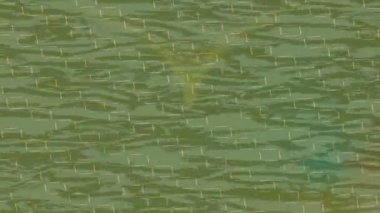 Benzersiz video giriş tasarımı projeleri için detaylı yüzey kalıbı film animasyon stili grafik girişi