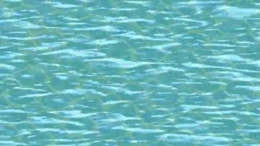 Yaratıcı video düzenleme film tasarımı için benzersiz hareket grafikleri biçimi giriş hareketi video pro