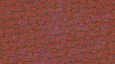 Benzersiz hareket grafikleri tasarım sanatına sahip yaratıcı film üretimi için özet bir arkaplan