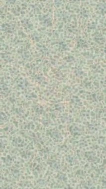 Organik desenli yüzey giriş stili video film sanatı ile soyut arkaplan tasarımı