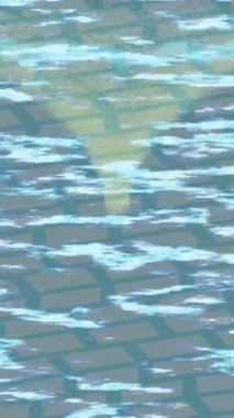 Benzersiz dijital hareket grafiklerine sahip yaratıcı sinematik projeler için yumuşak animasyon yüzeyi