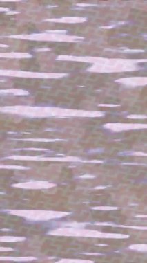 Dijital doku yüzey tasarım biçimi ile modern video animasyonu için gelişmiş hareket grafikleri