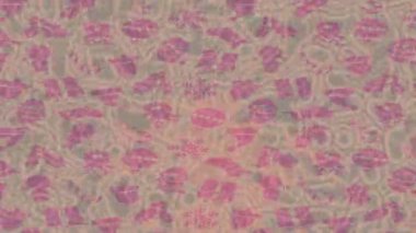 Lüks hareket tasarımı üst düzey video projeleri ve dijital sanat için zarif, pürüzsüz bir dokusu var.