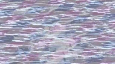 Organik desenli yüzey giriş stili video film sanatı ile soyut arkaplan tasarımı