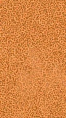 Benzersiz hareket dokusu tasarım sanatı ile profesyonel video düzenleme için modern soyut grafikler