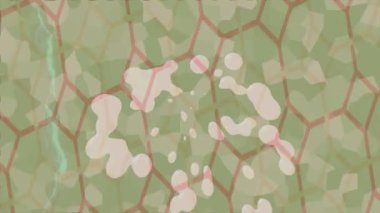 Dijital doku yüzey tasarım biçimi ile modern video animasyonu için gelişmiş hareket grafikleri