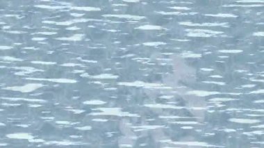 Yaratıcı video düzenleme film arkaplan tasarımı için minimalist organik hareket grafikleri