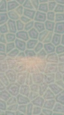 Profesyonel video projeleri sanat tarzı için organik hareketli arkaplan tasarımı