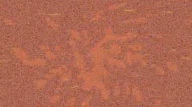 Benzersiz dijital animasyon tarzı grafikleri olan yaratıcı ortam tasarımı için yenilikçi hareket dokusu