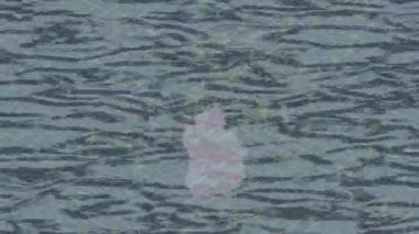 Benzersiz hareket grafikleri tasarım sanatına sahip yaratıcı film üretimi için özet bir arkaplan