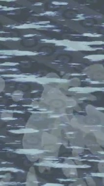 Benzersiz dijital animasyon tarzı grafikleri olan yaratıcı ortam tasarımı için yenilikçi hareket dokusu