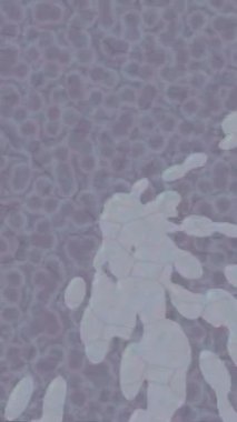 Modern medya üretimi için fütüristik dijital soyut doku sinematik tarz hareketli grafik ögesi