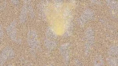 Benzersiz video giriş tasarımı projeleri için detaylı yüzey kalıbı film animasyon stili grafik girişi