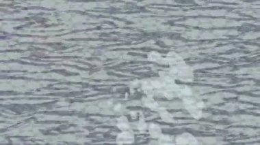 Yaratıcı video düzenleme film arkaplan tasarımı için minimalist organik hareket grafikleri