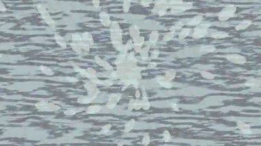 Modern medya üretimi için fütüristik dijital soyut doku sinematik tarz hareketli grafik ögesi