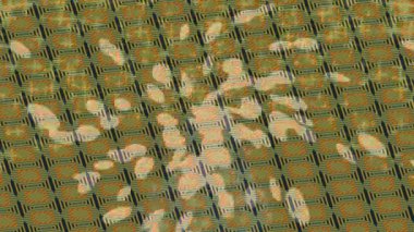 Yaratıcı video düzenleme film arkaplan tasarımı için minimalist organik hareket grafikleri