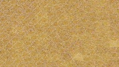 Benzersiz hareket dokusu tasarım sanatı ile profesyonel video düzenleme için modern soyut grafikler