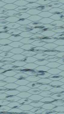 Organik desenli yüzey giriş stili video film sanatı ile soyut arkaplan tasarımı