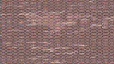 Yaratıcı video düzenleme film arkaplan tasarımı için minimalist organik hareket grafikleri