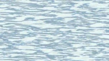 Yaratıcı video düzenleme film arkaplan tasarımı için minimalist organik hareket grafikleri