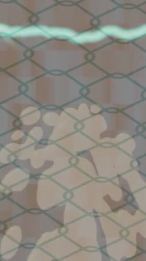 Yaratıcı video düzenleme film tasarımı için benzersiz hareket grafikleri biçimi giriş hareketi video pro