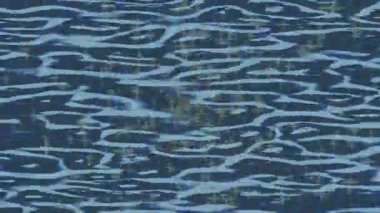 Lüks hareket projeleri için soyut tasarım stili animasyonu olan üst düzey dijital doku